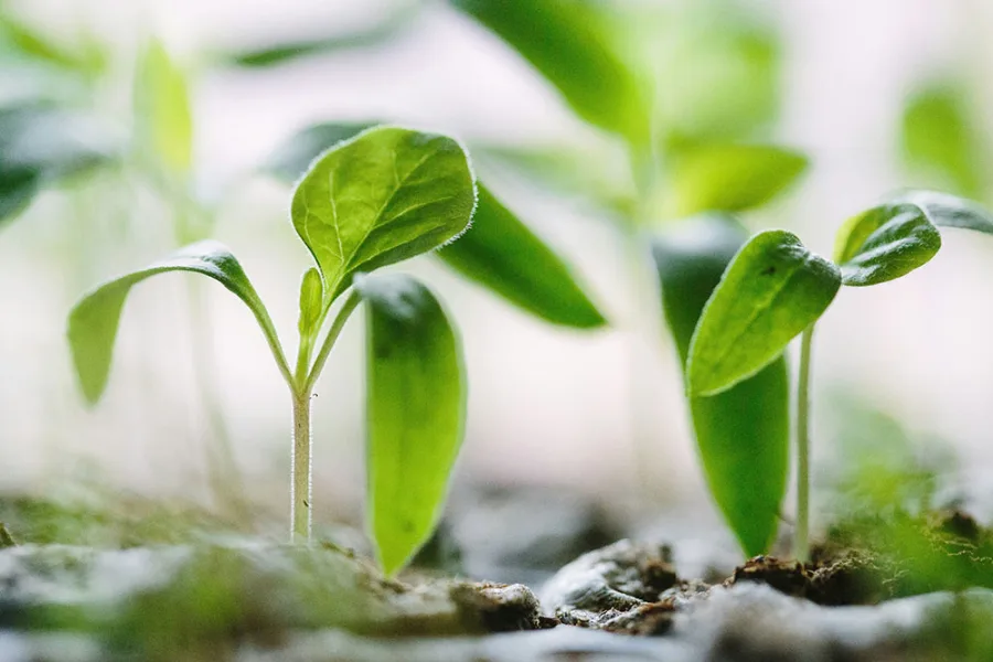 Revitalising Your Online Presence